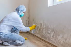 Best Mold Documentation for Insurance Claims  in Andover, MN